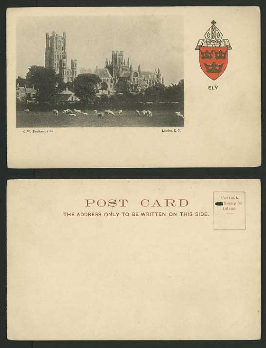 ELY CATHEDRAL & SHEEP Old U.B. Postcard - Ely City Arms