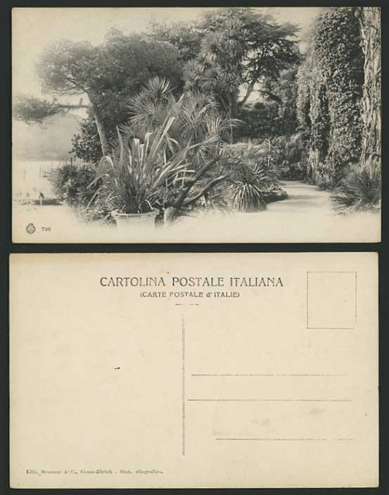Italy Old Brunner Postcard trees Plant BOTANICAL GARDEN