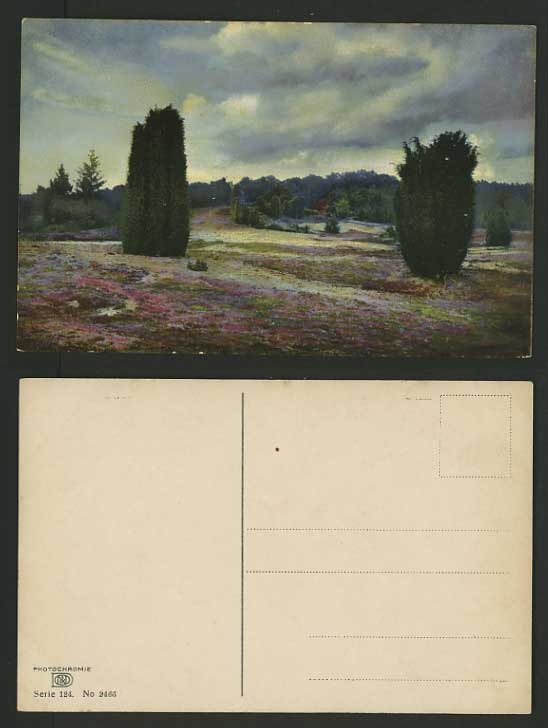 Artist Signed Colour Postcard LANDSCAPE Trees & Flowers