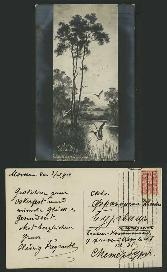 Russia 1914 Old Photo Postcard DUCKS Birds LAKE TREES