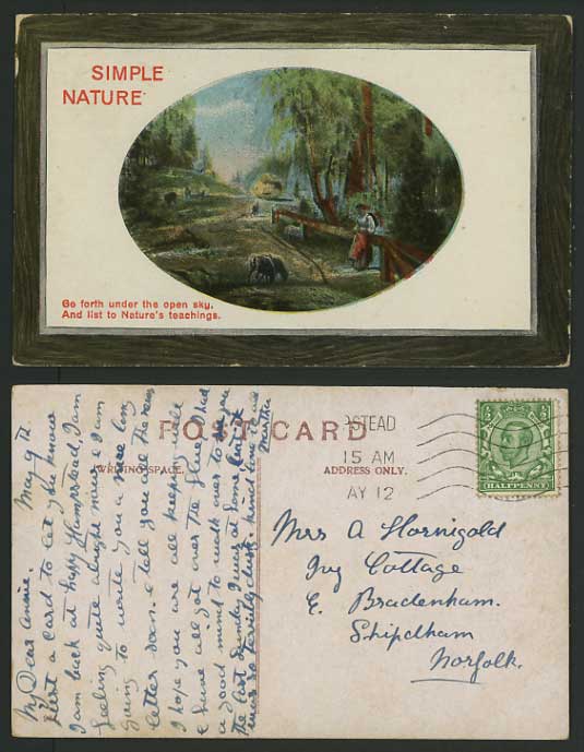 Greetings 1912 Old Postcard SIMPLE NATURE Woman & SHEEP