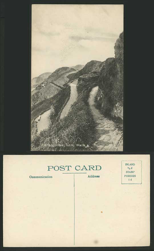 Devon Old Postcard - ILFRACOMBE Torrs Walk - Mountains