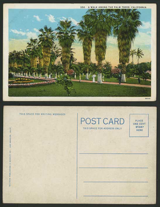 USA Old Postcard - CALIFORNIA Walk among the Palm Trees
