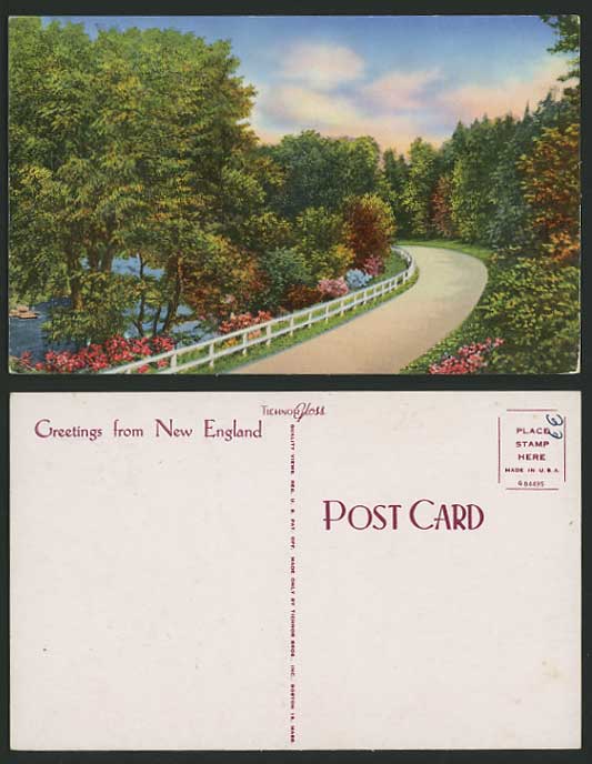 USA Coloured Postcard NEW ENGLAND Flowers, Park & Lake