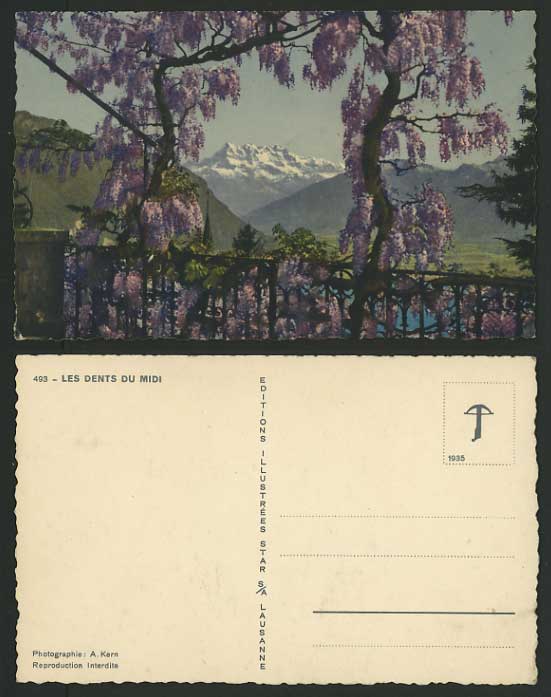 Switzerland Old Coloured Postcard DENTS DU MIDI Flowers