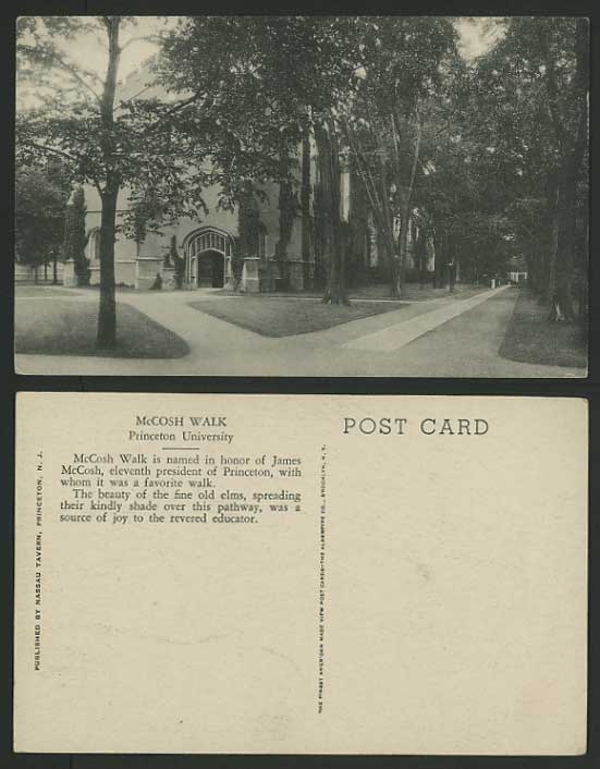 USA Vintage Old Postcard PRINCETON UNIVERSITY - The McCosh Walk