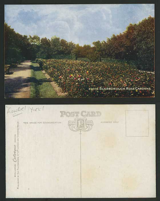 North Yorkshire Old Postcard - SCARBOROUGH Rose Gardens