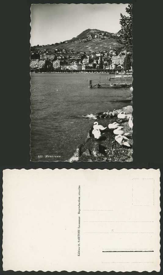 Switzerland Old RP Postcard MONTREUX Lake & Swans Birds