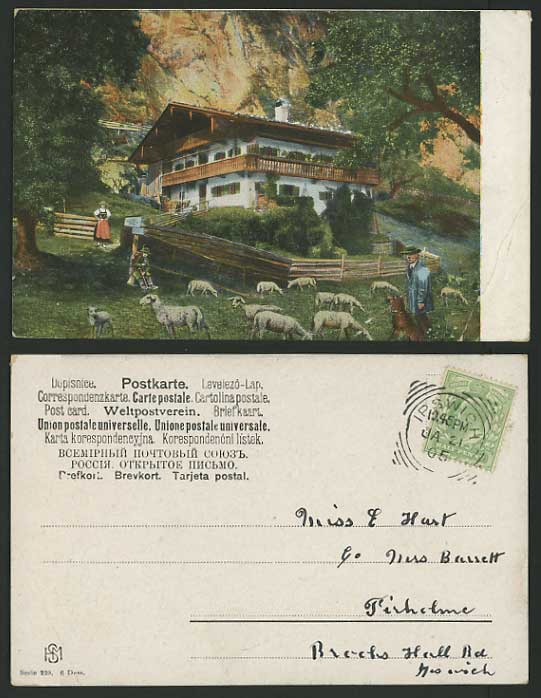 Swiss 1905 Undivided Back Postcard SHEPHERD DOG & SHEEP
