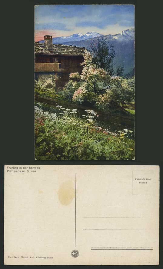 Swiss Old Coloured Postcard - SPRING IN SWITZERLAND
