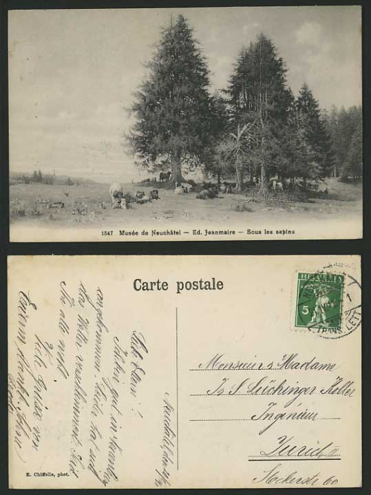 Swiss 1911 Old BW PPC Ed. Jeanmaire Sous les sapins COW
