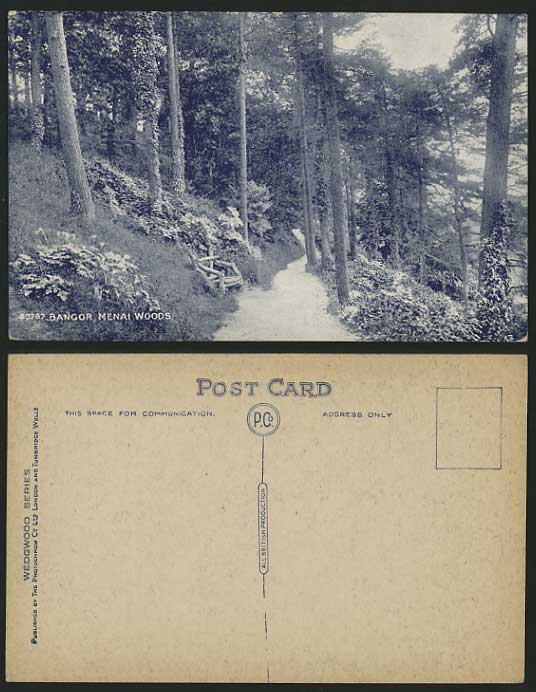 Caernarvonshire Old Postcard Forest BANGOR Menai Woods