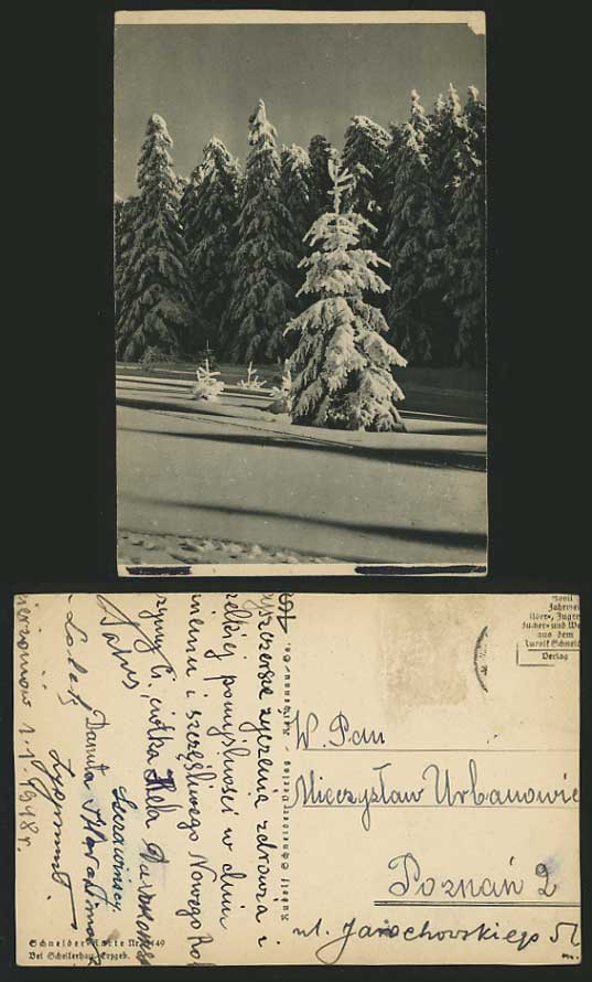 Germany 1948 Old B/W Postcard ORE MOUNTAINS Schellerhau
