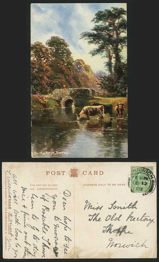 Surrey On the Arun 1907 Art Drawn Postcard River COWS
