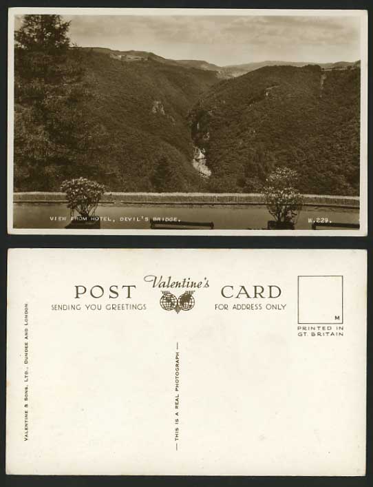 Cardiganshire Old RP Postcard DEVIL'S BRIDGE from HOTEL
