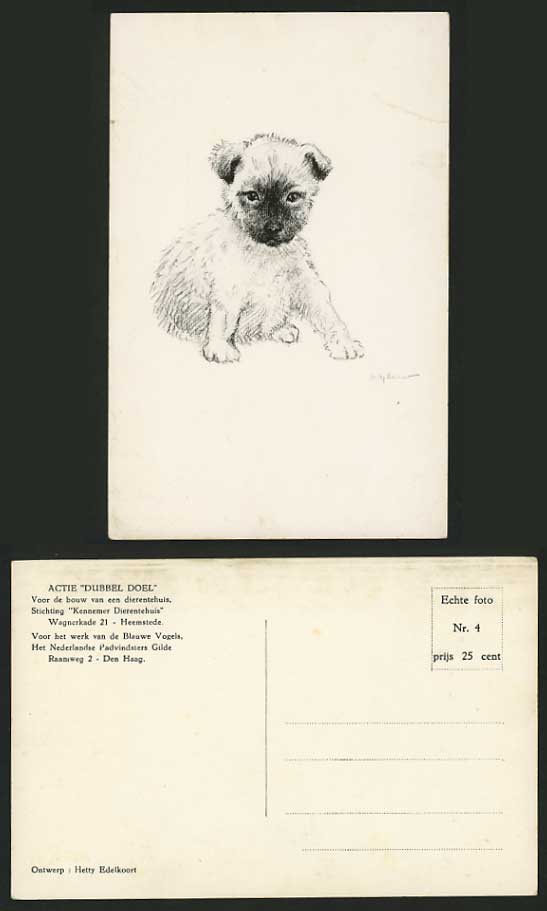 Hetty Edelkoort Artist Signed Old Postcard DOG A Puppy