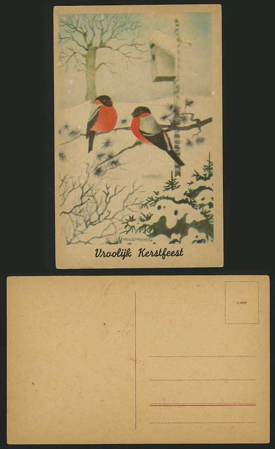 BIRDS Willy Schermele Artist Signed Old Color Postcard