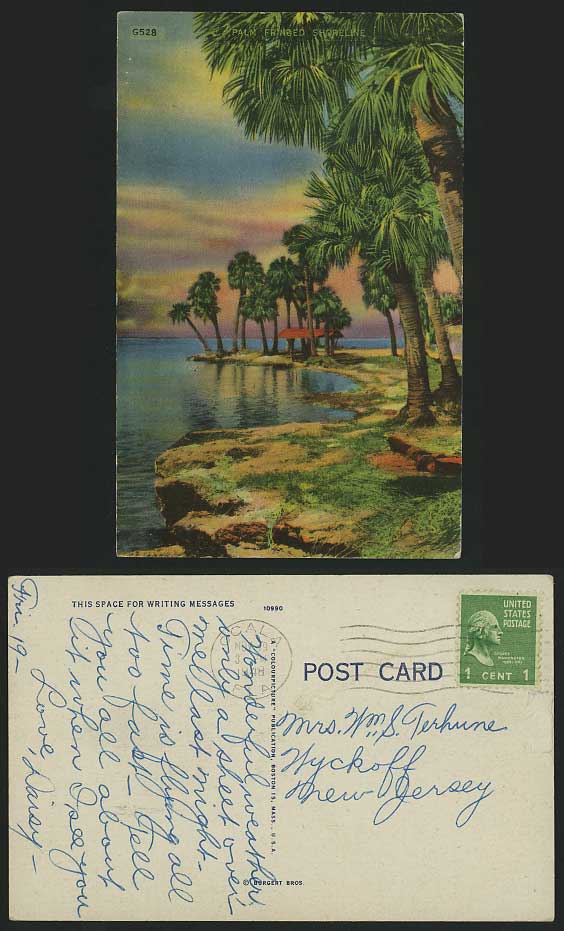 USA 1948 Colour Postcard Trees - PALM FRINGED SHORELINE