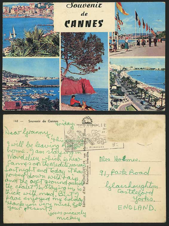 CANNES Old Multiview Postcard Dog, Harbour, Piers, etc