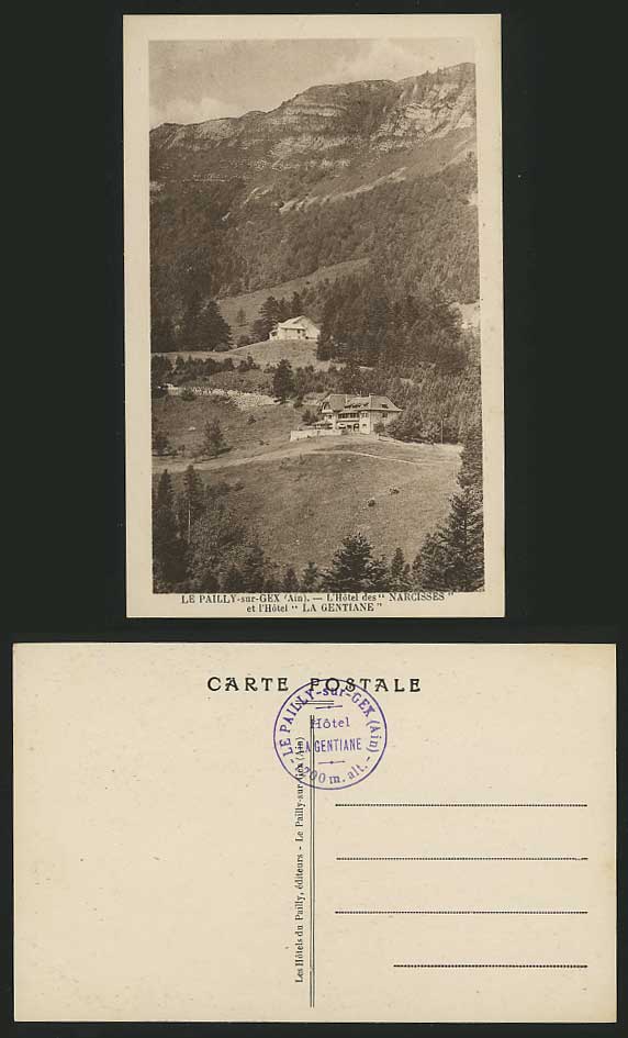 France Old Postcard PAILLY-SUR-GEX - Ain Hotel Gentiane