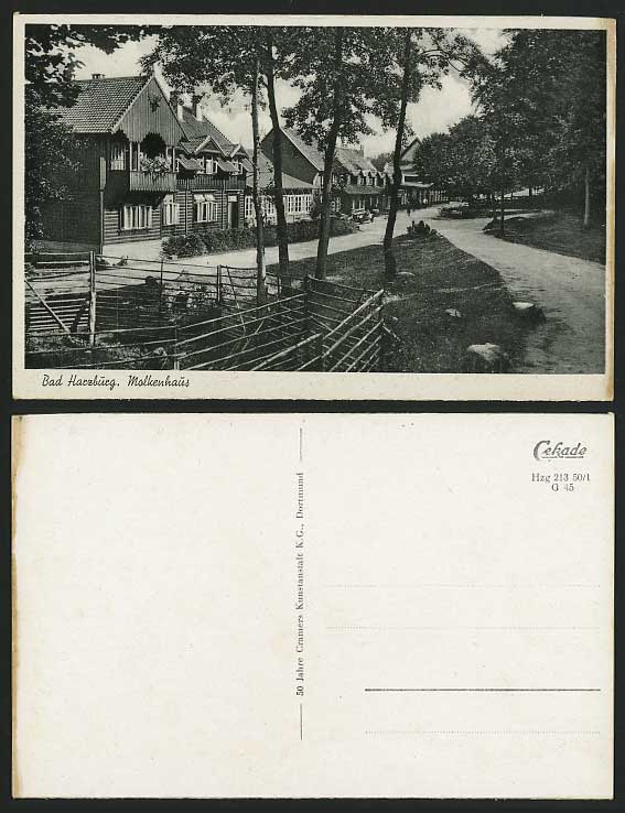 Germany Old B/W Postcard BAD HARZBURG Molkenhaus Houses