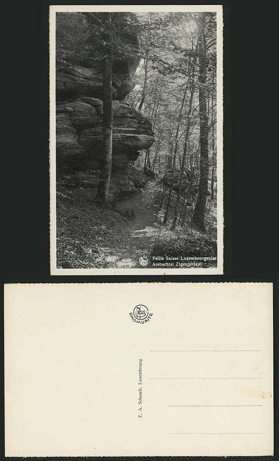 Luxembourg Old Postcard Woods - AESBACHTAL ZIGEUNERLAY