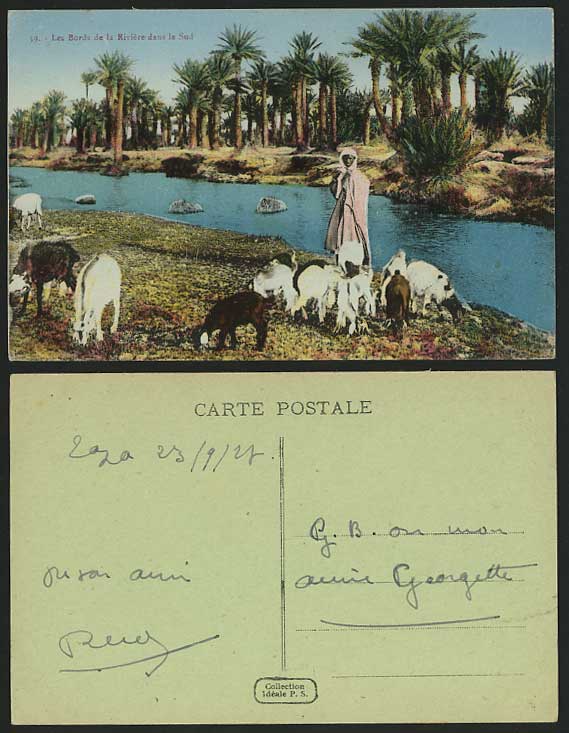 ALGERIA 1928 Old Colour Postcard RIVER SHEEP & SHEPHERD