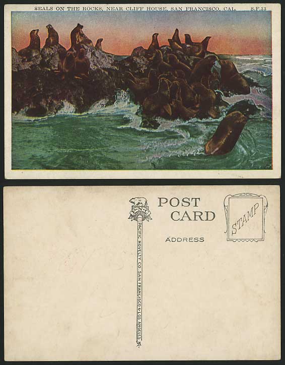 SEALS ON ROCKS - Cliff House San Francisco Old Postcard