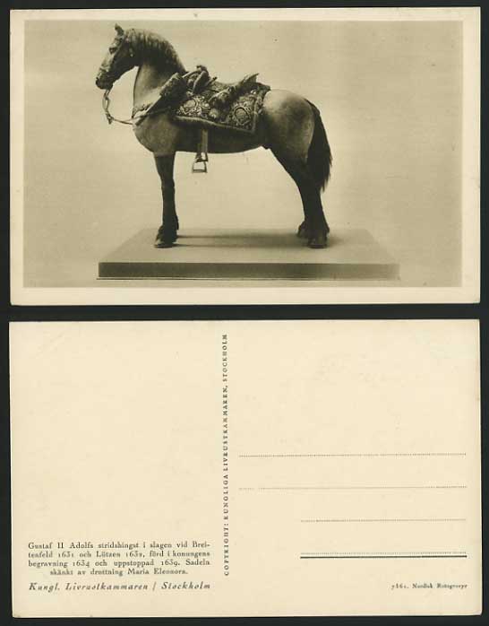 Sweden Old Postcard HORSE Gustaf II Adolfs Breitenfeld