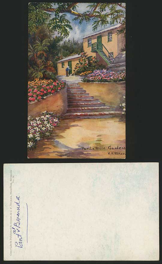 BERMUDA CF TUCKER Art Drawn Old Postcard Flower Gardens
