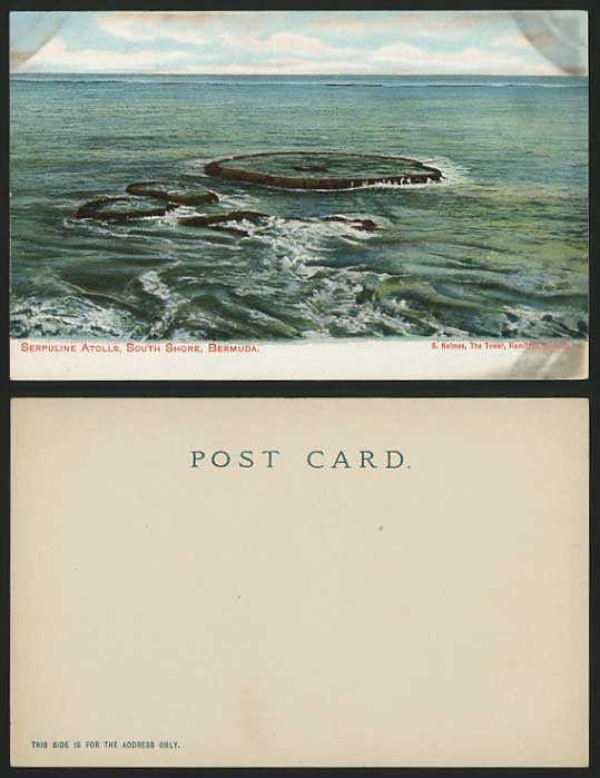 BERMUDA Old Color Postcard SERPULINE ATOLLS South Shore