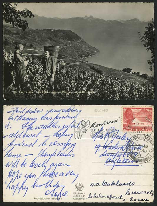 Swiss 1951 Old RP Postcard GRAPE HARVESTING Lake Geneva