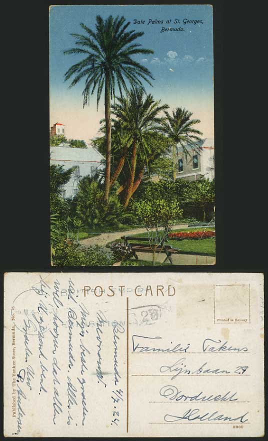 BERMUDA 1924 Old Colour Postcard Date Palms St. Georges