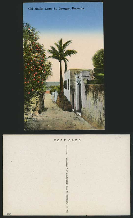 BERMUDA Old Colour Postcard ST. GEORGES Old Maids' Lane