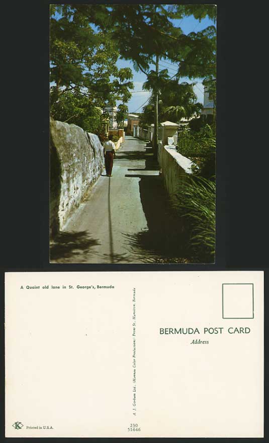 BERMUDA Postcard Street Quaint Old Lane in ST. GEORGE'S