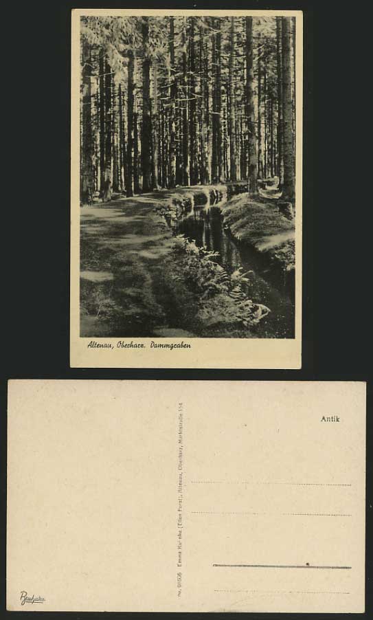 Germany Oberharz Old Postcard ALTENAU Dammgraben Trees