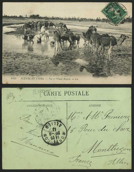 Algeria 1913 LL Old Postcard CAMELS Vue a l'Oued Bayech