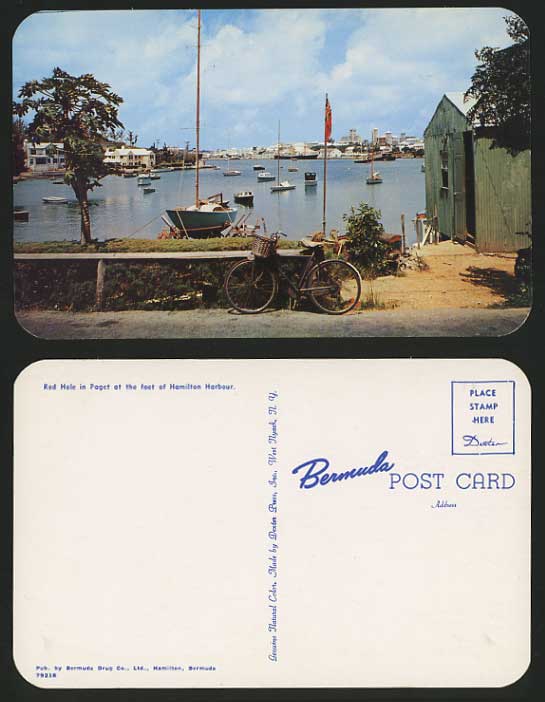 BERMUDA Early Colour Postcard Red Hole Paget Hamilton Harbour Bicycle BIKE
