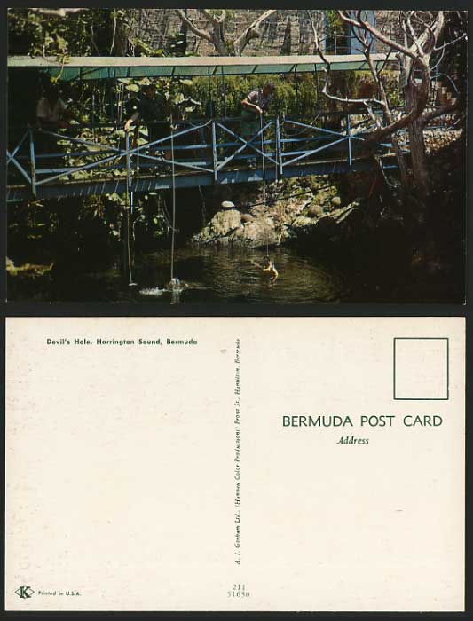 BERMUDA Postcard Fishing DEVIL'S HOLE Harrington Sound