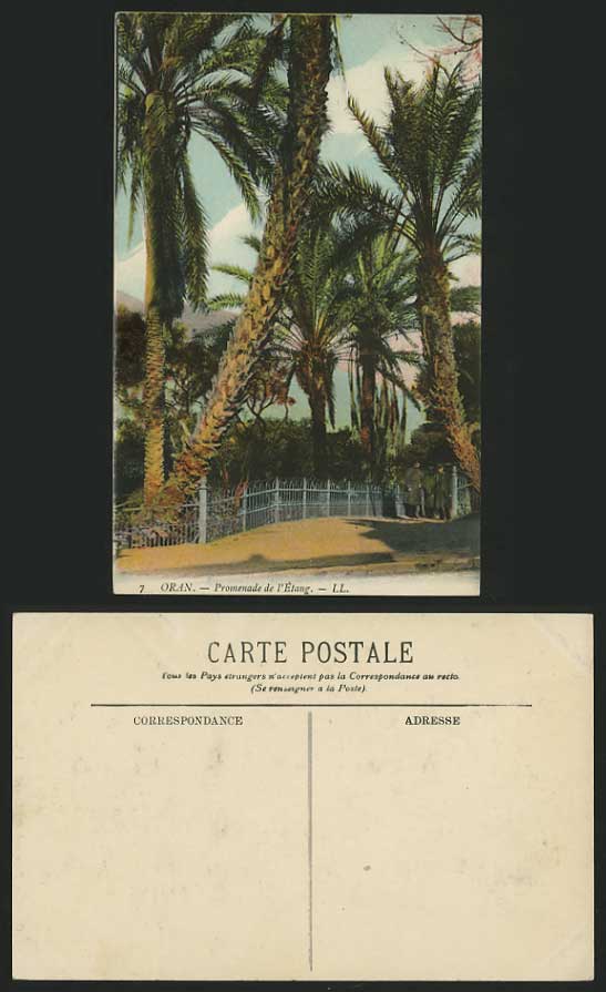 Algeria LL No.7 Old Postcard ORAN Promenade de l'Etang