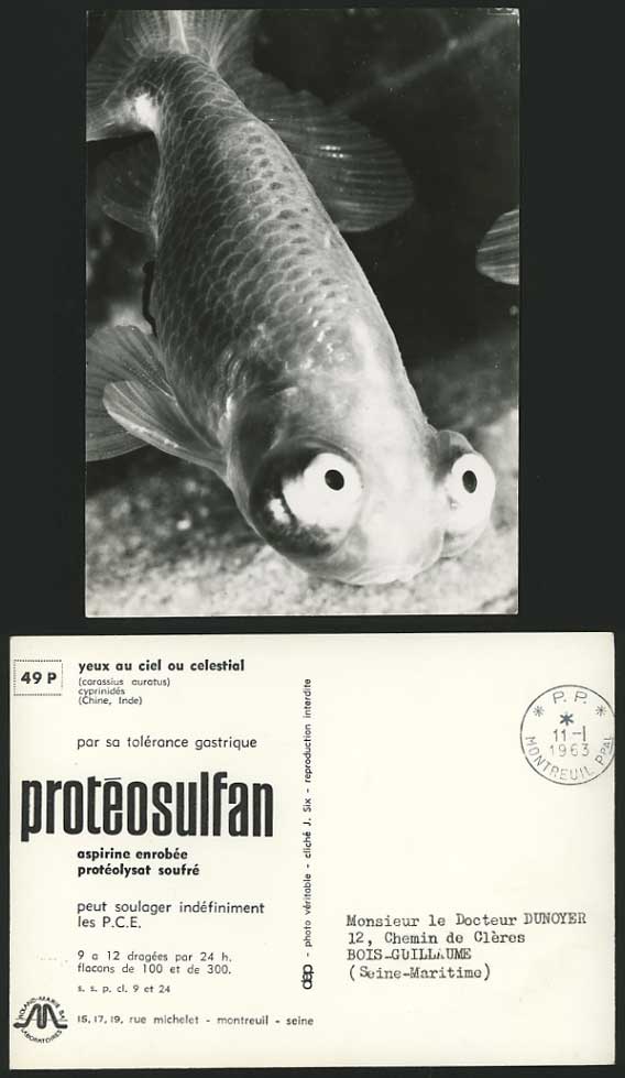 GOLDFISH Carassius Auratus Fish 1963 RP Postcard Advert