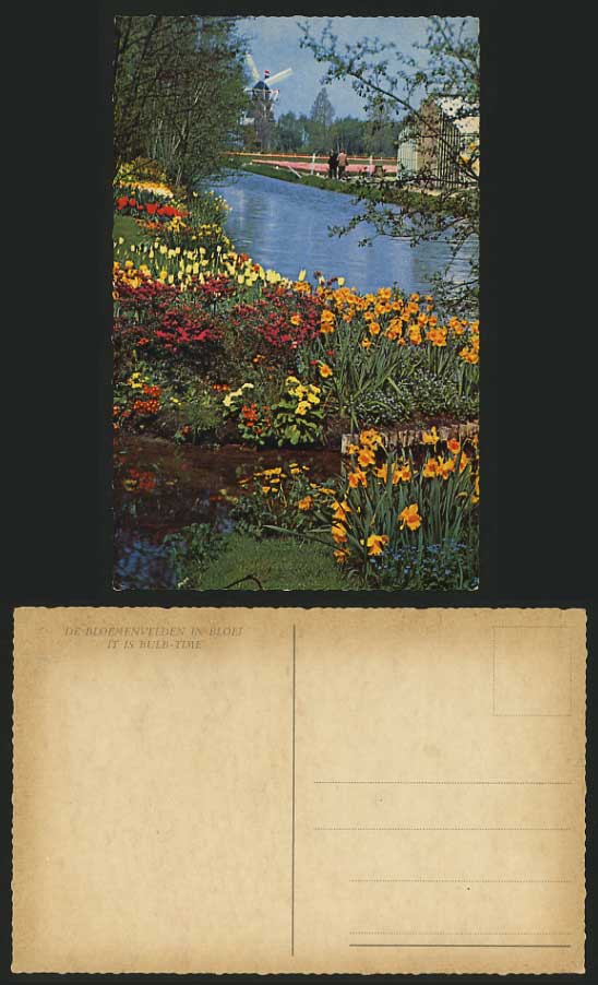 Netherlands Old Colour Postcard WINDMILL RIVER FLOWERS