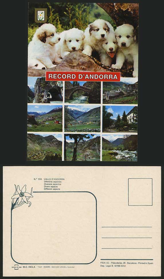 ANDORRA Early Postcard Bridge River Tunnel DOGS PUPPIES