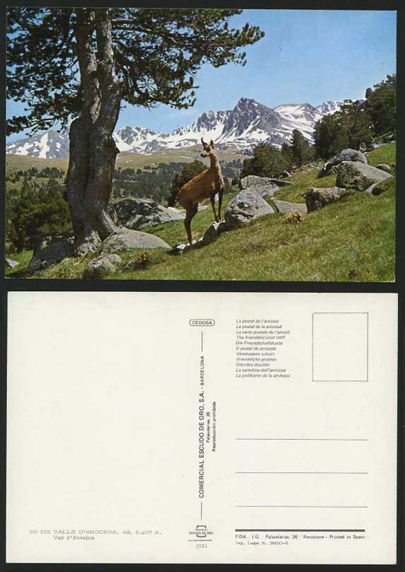 Andorra 1970 Postcard Vall d'Envalira Mountains Chamois