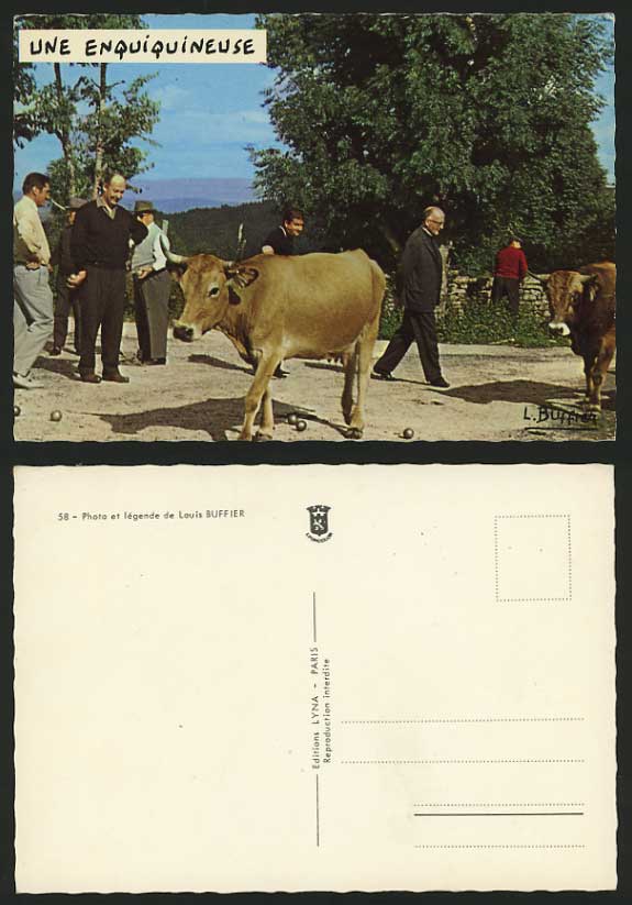 Sport Old Postcard BOWLS Une Enquiquineuse COW Animals