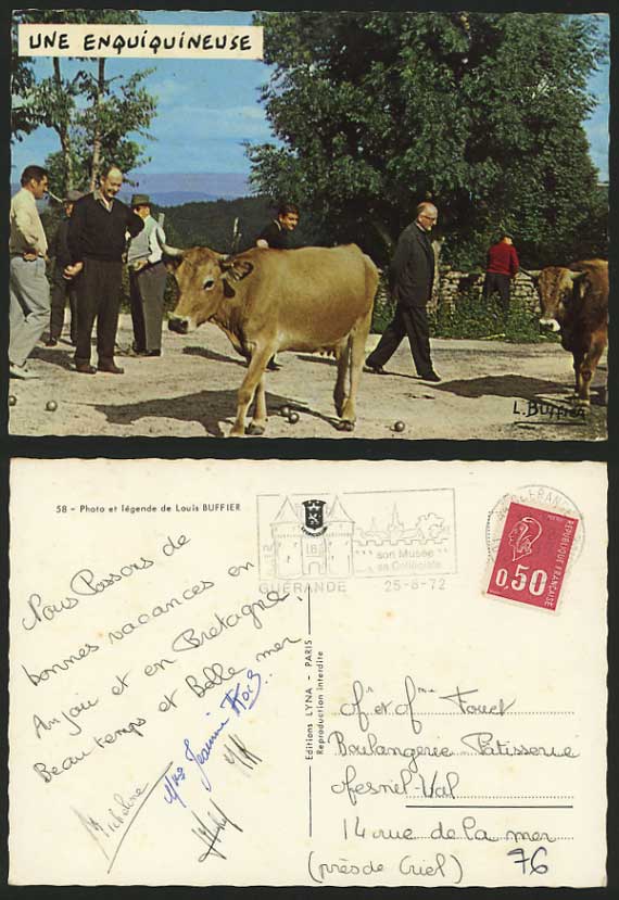 Sport 1972 Colour Postcard BOWLS Une Enquiquineuse COWS
