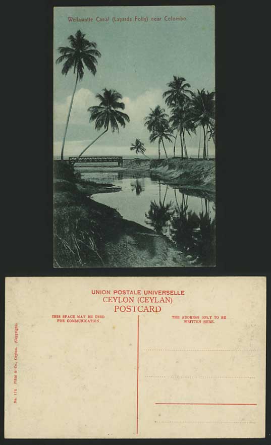 Ceylon Old Postcard Tree Layards Folly Wellawatte Canal