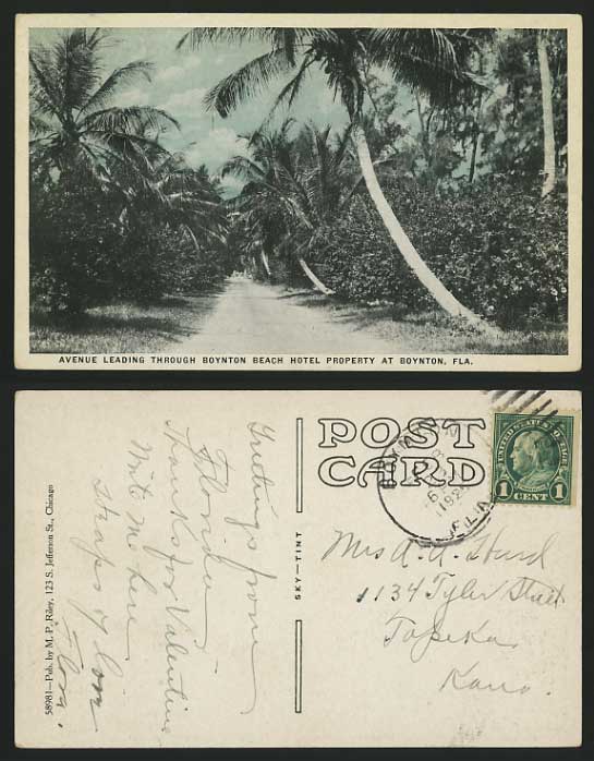USA 1925 Old Postcard Trees FLORIDA Boynton Beach Hotel