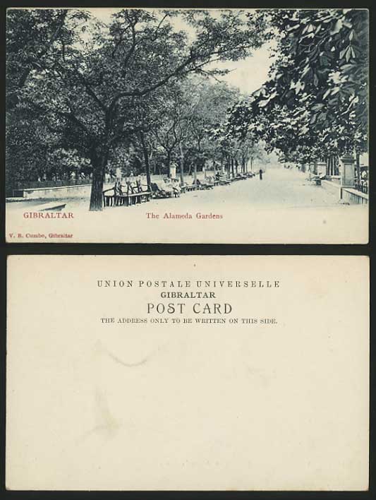 Gibraltar c.1900 Old U.B. Postcard The Alameda Gardens Undivided Back