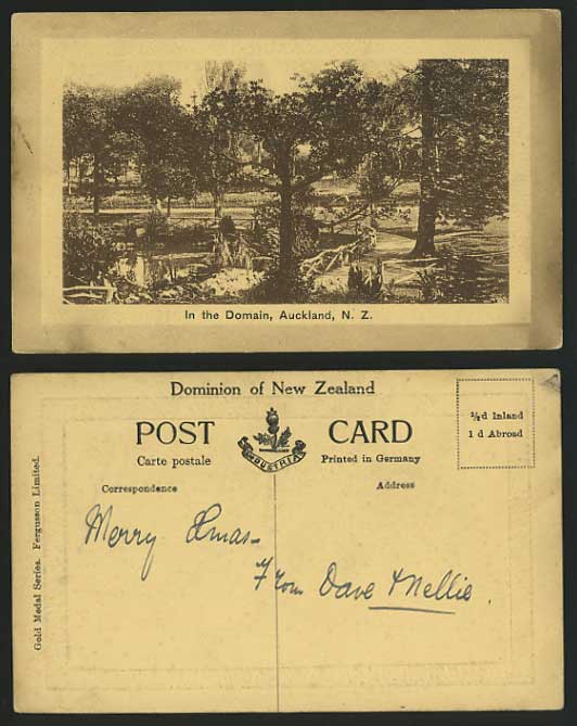 New Zealand Old Postcard AUCKLAND Trees / In the Domain